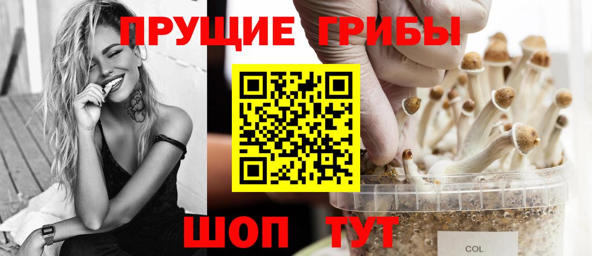Псилоцибиновые грибы мицелий  Вход с VPN  Балаково 