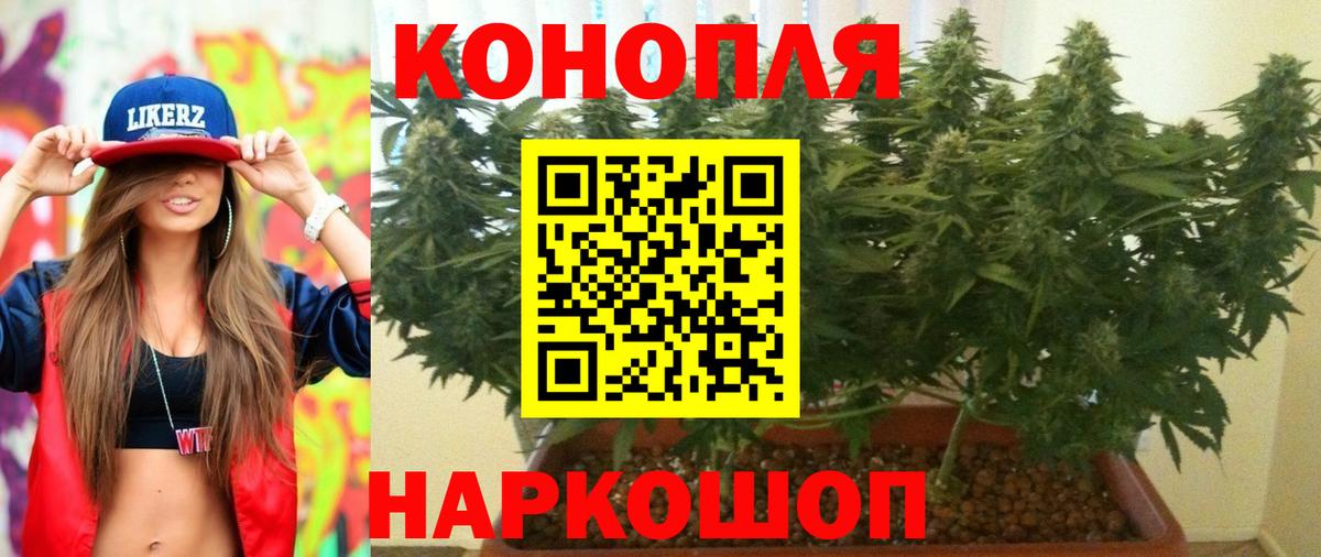 Бошки Шишки Amnesia Балаково